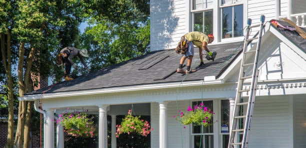 Best Storm Damage Roof Repair  in Kenton, TN